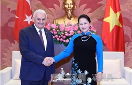 Chủ tịch Quốc hội Nguyễn Thị Kim Ngân tiếp Thủ tướng Thổ Nhĩ Kỳ 